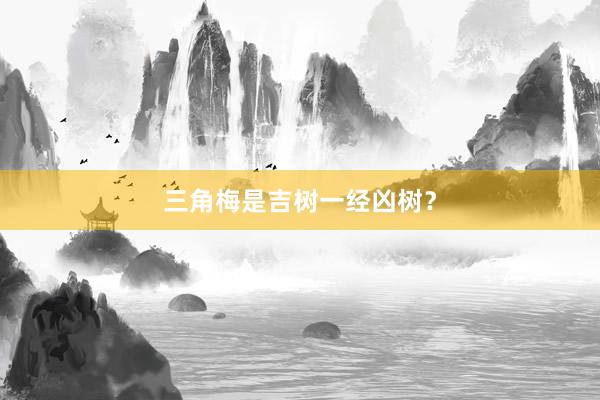 三角梅是吉树一经凶树？